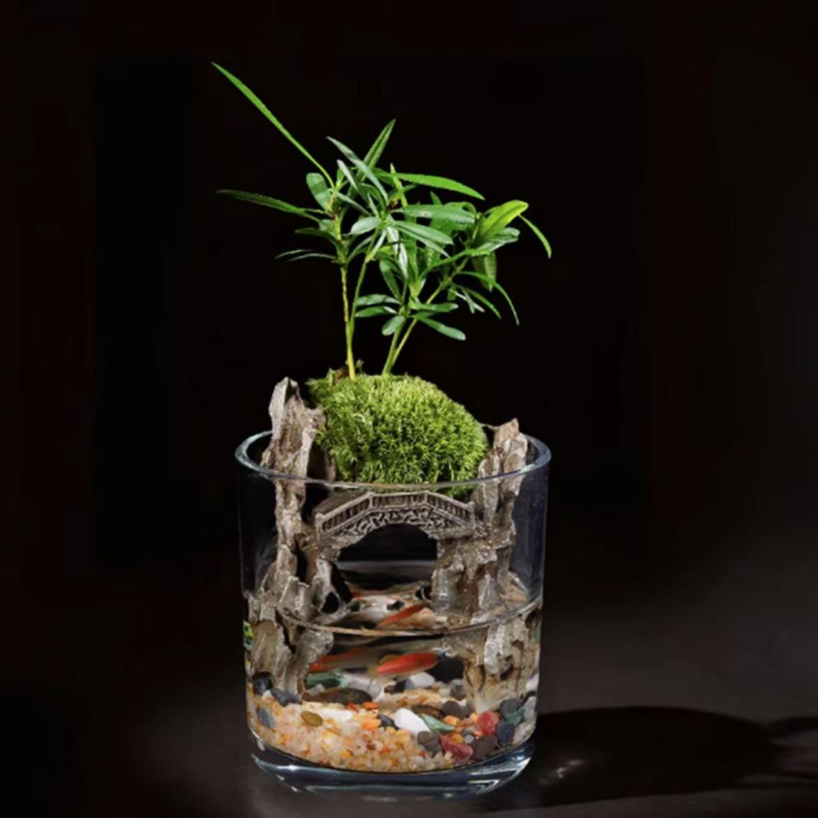 Miniature Zen Garden Aquascape Kit with Stone Bridge