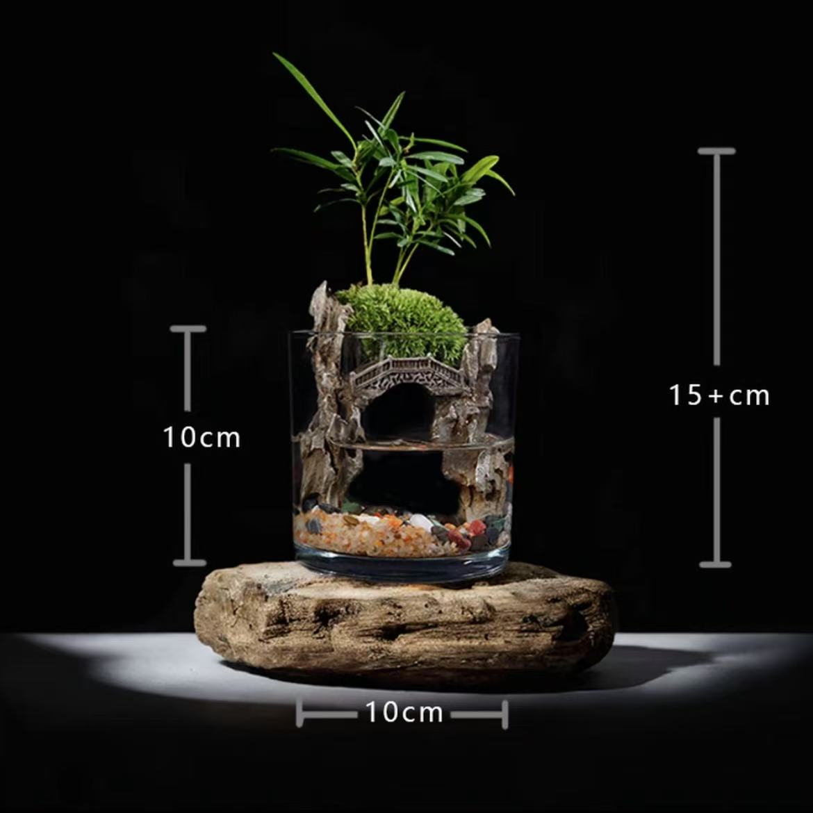Miniature Zen Garden Aquascape Kit with Stone Bridge