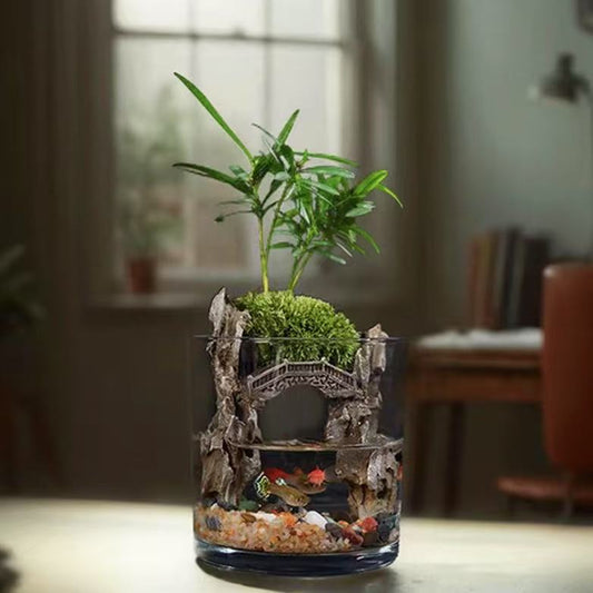 Miniature Zen Garden Aquascape Kit with Stone Bridge
